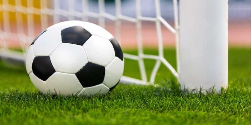 Khái Niệm và Phân Loại Chiến Thuật Mẹo Cược Dự Phòng (Hedge)