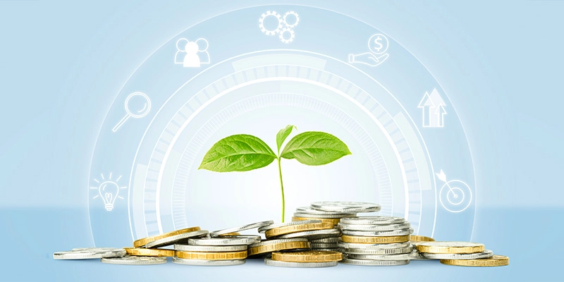 Kinh nghiệm chơi theo tháng/quý – Cách quản lý vốn dài hạn